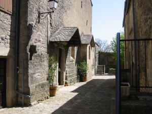 IMG_0088